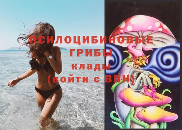 кокаин Белокуриха
